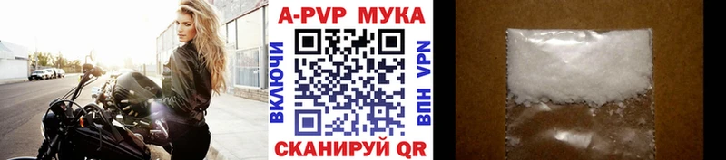 APVP СК  Новозыбков 