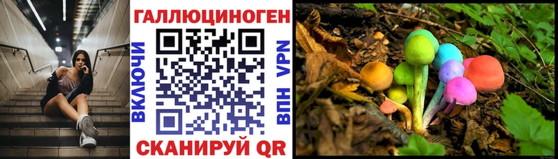 Галлюциногенные грибы Cubensis  Новозыбков 